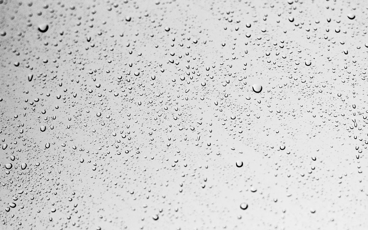 Humidité dans les murs d'une maison : le bon traitement dépend d'abord de la source — « Comment je sais si c'est de la condensation ou autre chose ? »